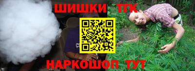 гашик Ливны